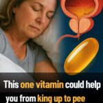 586784001 874511128451144 6875394495873042297 n