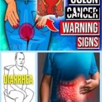 586856262 874536075115316 6061621725165678874 n