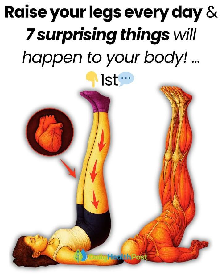 587604229 2546688792384214 515983994207523164 n