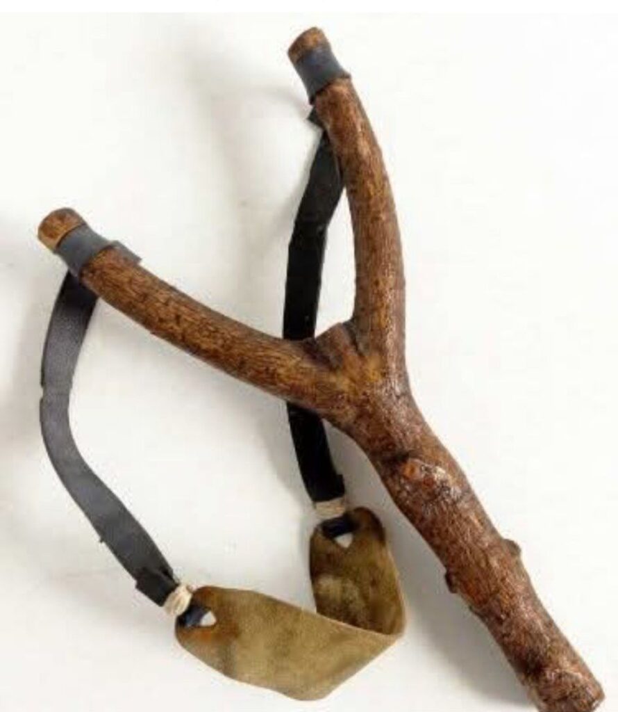 587840260 122195818472322972 8248554702894765499 n