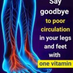 589113896 1206908914683242 3011040592690160279 n