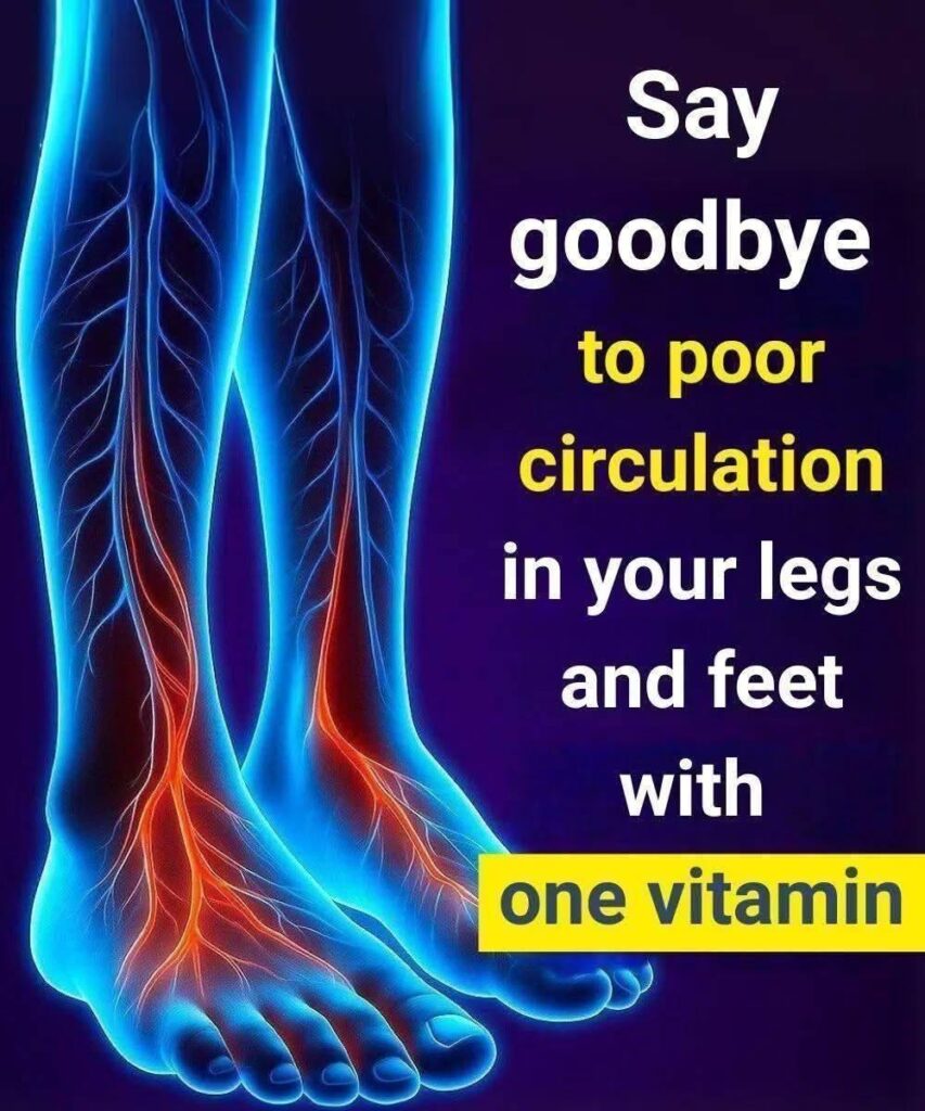 589113896 1206908914683242 3011040592690160279 n