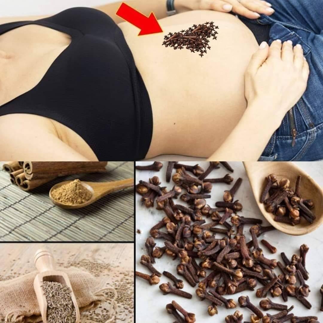 590767344 2116050519199396 7463611201203267980 n