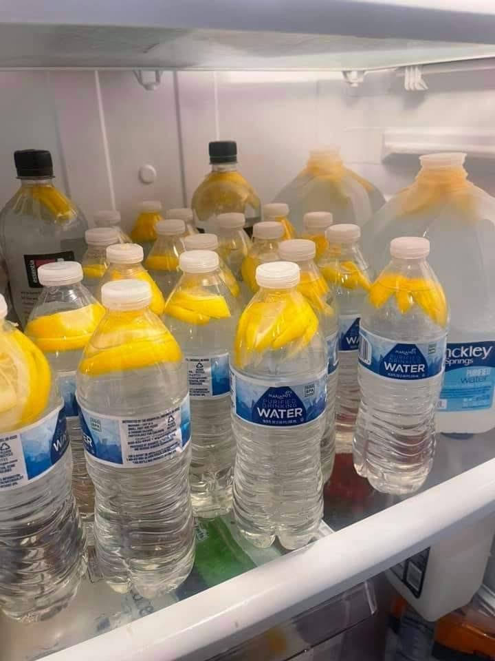 590871675 1351960559918174 8693346068213518931 n