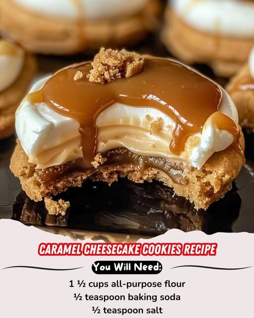 558151308 4208589496123390 1176739330712884589 n