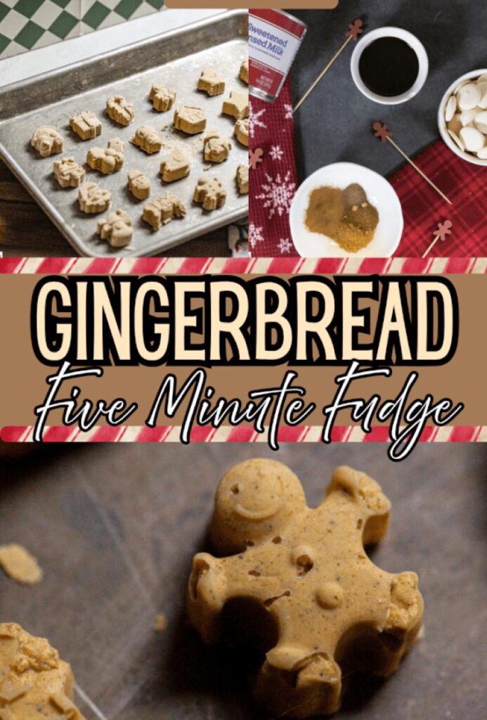 581927898 10162046733686915 2076210782588646279 n e1764785556700