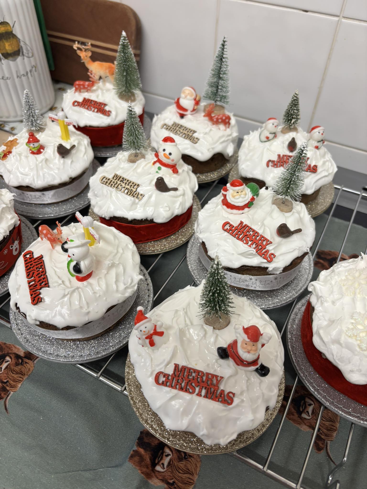 585060127 10163144808681029 3443568464581060922 n