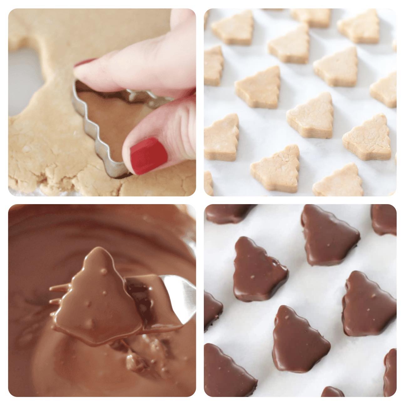 585747979 10165804792723942 7854792061518308456 n