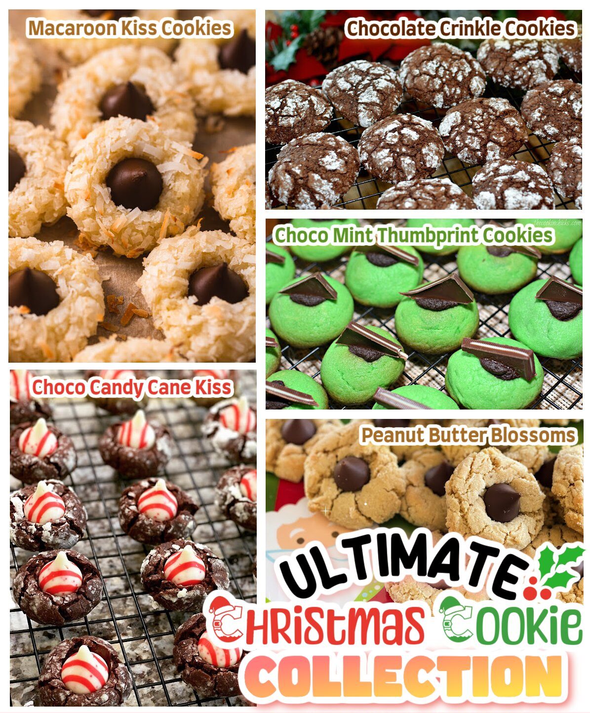 586286955 10233979380120764 1582184920656193581 n e1764705151397