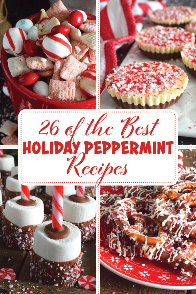 588379608 1618178519570913 3336579980169851655 n