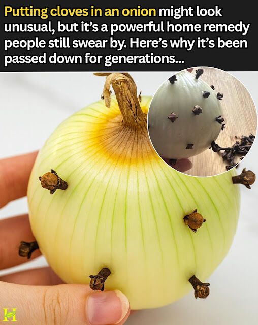 592173980 122231542820102037 4995269395161137182 n