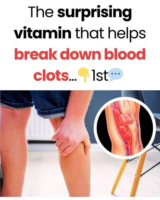 595060336 835929495712412 7808640480745702999 n