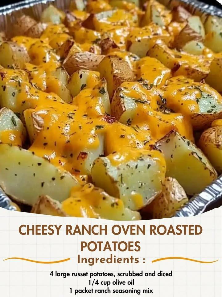 595071792 711665205330940 6473874905886682332 n