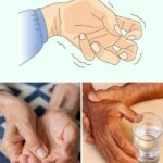 595332663 858332083247306 6658030215462613357 n