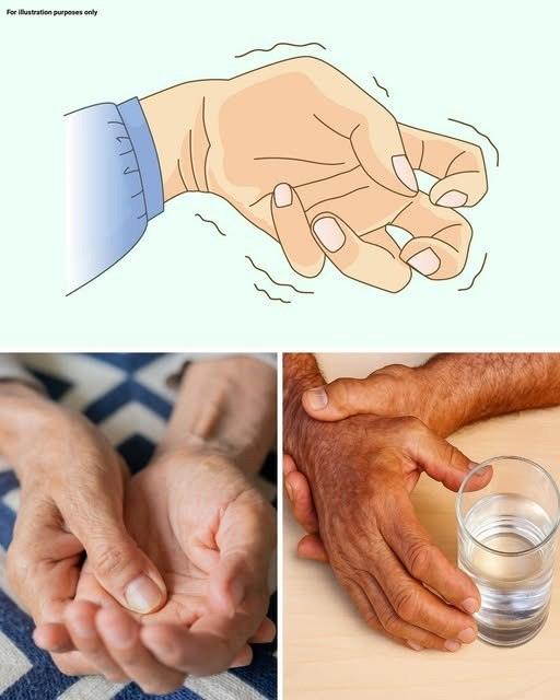 595332663 858332083247306 6658030215462613357 n