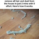 595641560 2089674525137365 668074528026952751 n