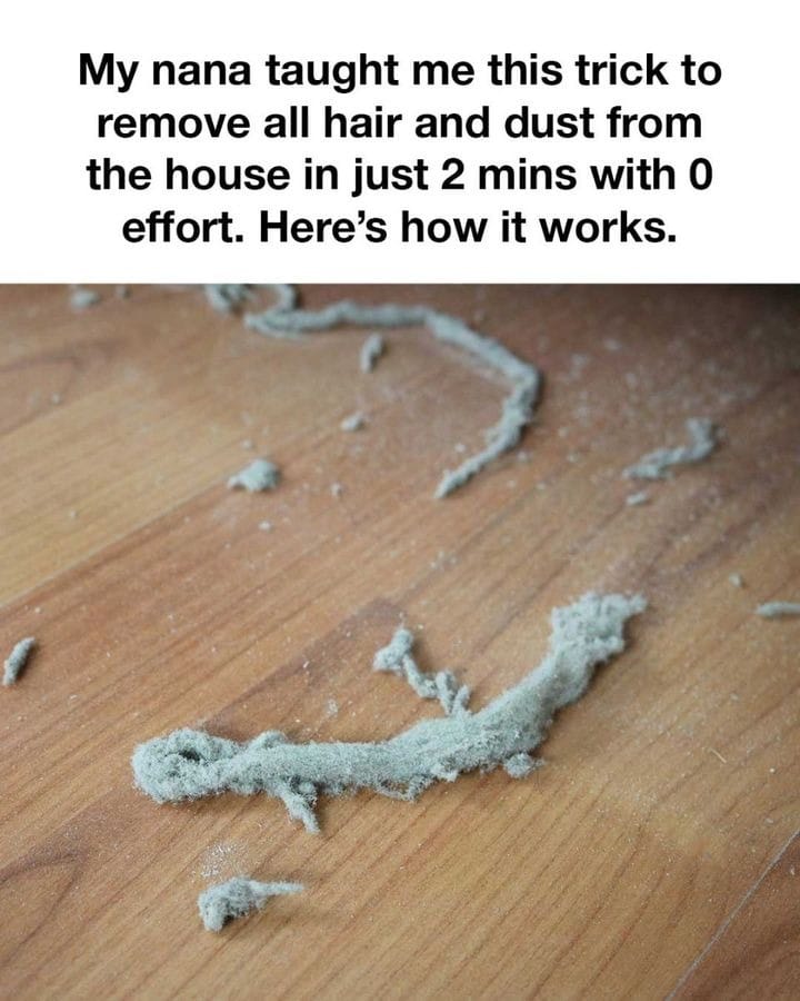 595641560 2089674525137365 668074528026952751 n