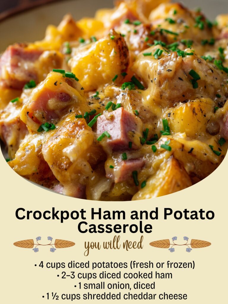 597589098 1616175493083783 6649687807245326049 n