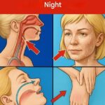 597610050 122098720515155900 5987137322609456782 n