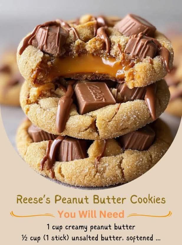 597828101 122115403371135832 4273774298212480181 n