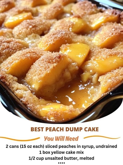 597864933 122285735810012069 2864550911524294114 n