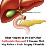 597879971 2027738931354913 8093149726834066992 n