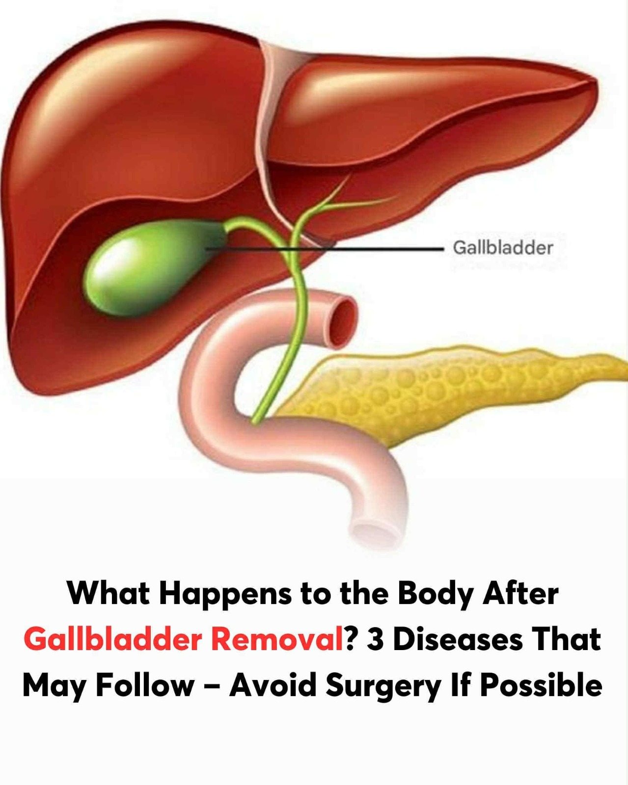 597879971 2027738931354913 8093149726834066992 n