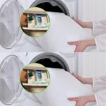 597917553 2027908191320208 3739768493069159473 n