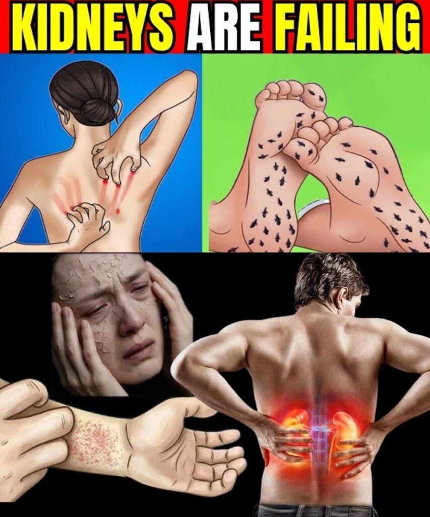 598334231 2027755378019935 5903185586697316651 n