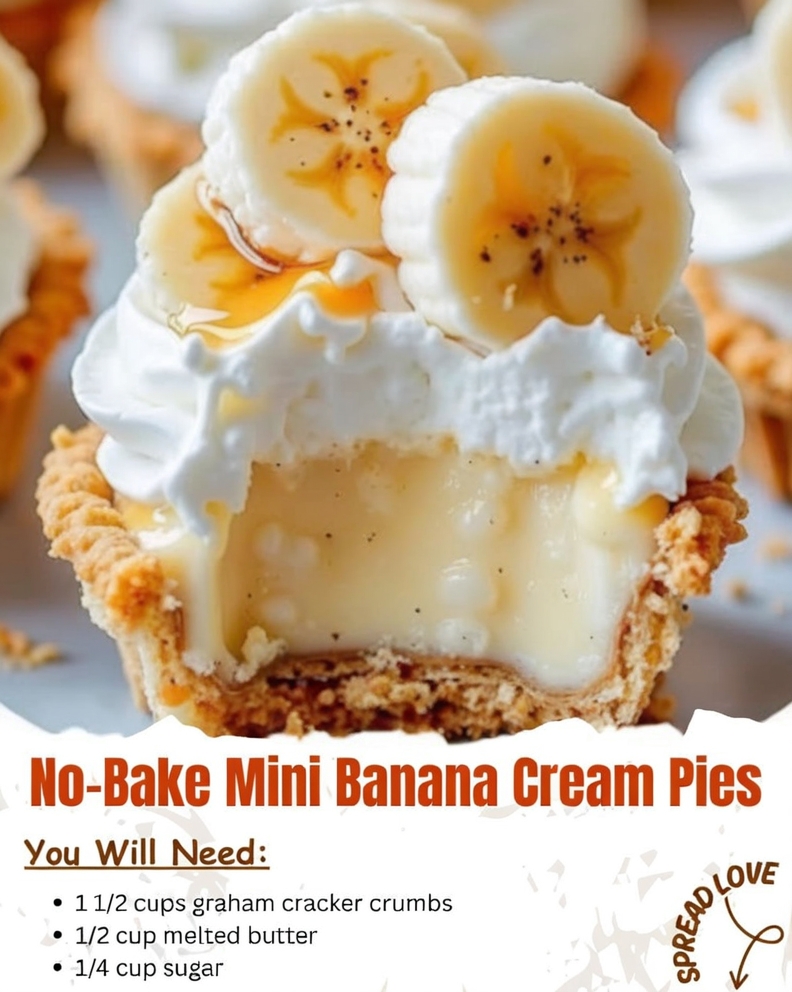 598836237 1183239010587863 3758603694953458145 n