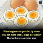 598986844 883170037489550 3097858462570194668 n