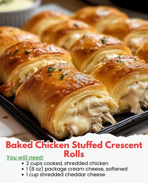 599112861 1617569726277693 3716890103523135567 n