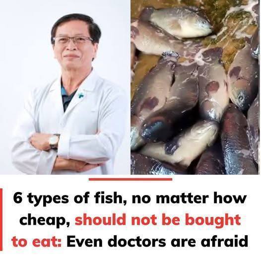 599505141 883166744156546 5475856510852649509 n