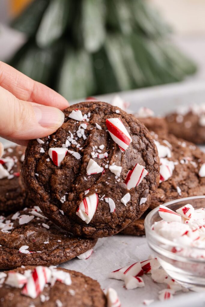 599802250 10162284726122005 8201867461206275689 n