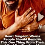 599929784 2027616541367152 4827507540995586217 n