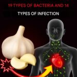 599945748 747635651690799 1369452656448898827 n