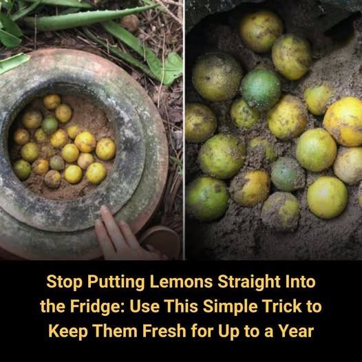 600336352 742706858850345 2625545982119955598 n