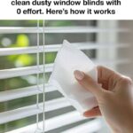 600992012 1657331198962410 3974277933984640444 n