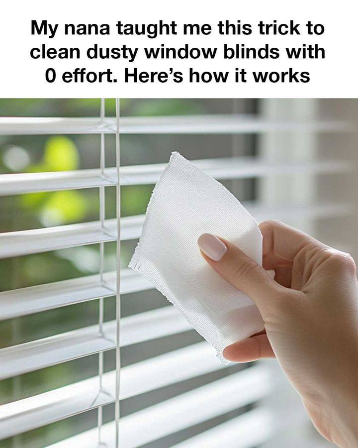 600992012 1657331198962410 3974277933984640444 n