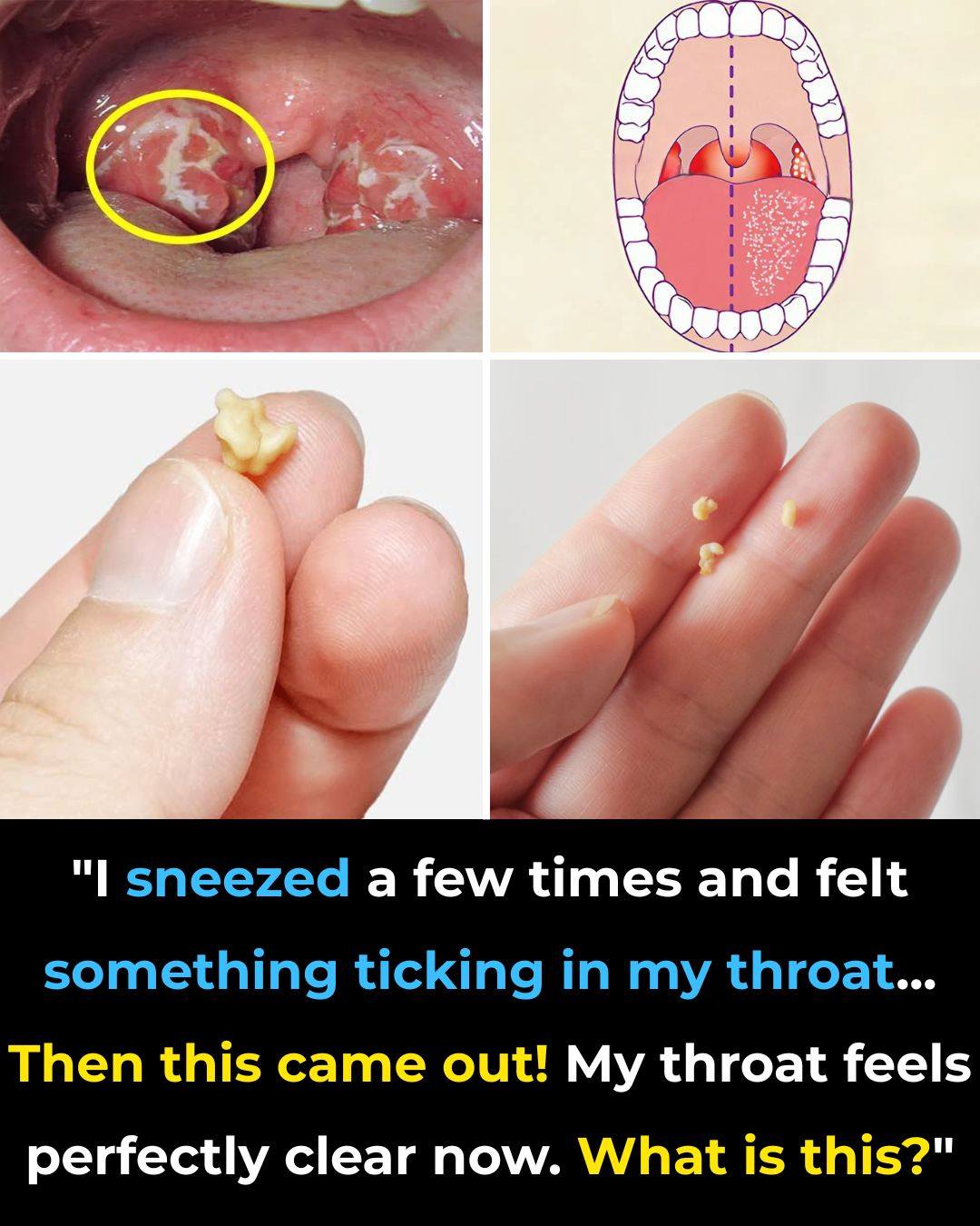 601386285 2072583900210487 3907927302966491766 n