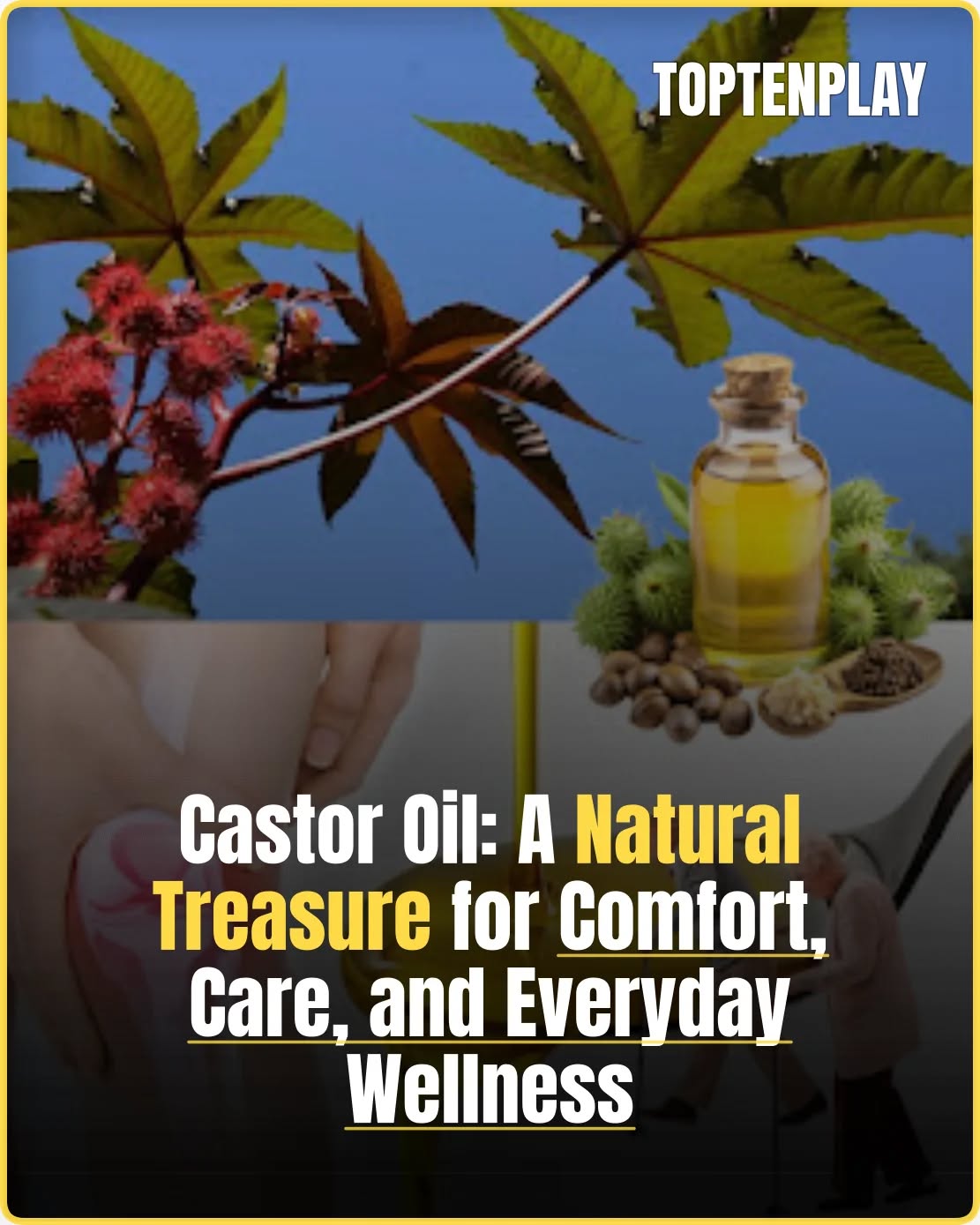 601400754 886523757668319 7881875115202000607 n