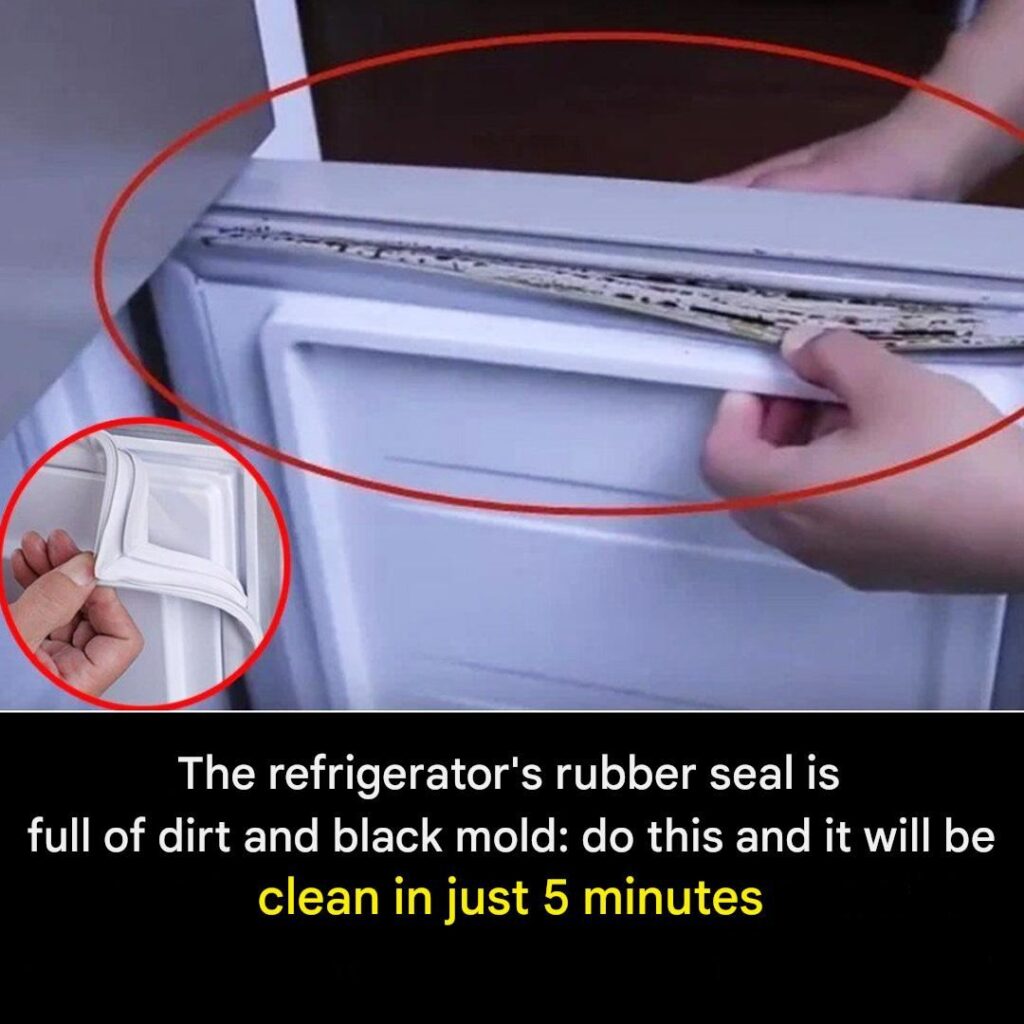 601420098 1391715609027782 5325522563819830667 n