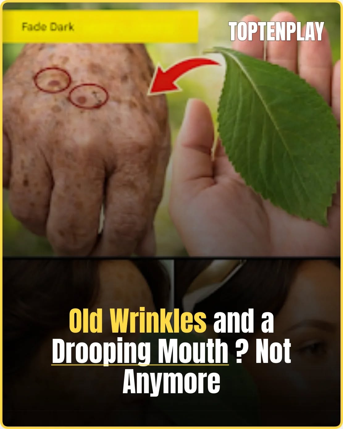 601428226 2268734800295805 8161245331032631001 n