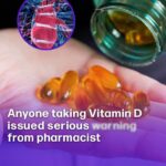 602995450 2210880126101679 551621755668226821 n