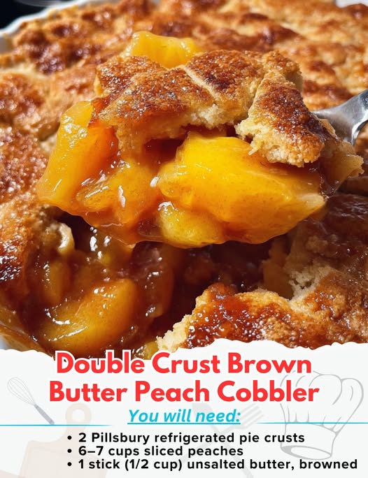 605135187 2605204743192638 7435822528190337346 n